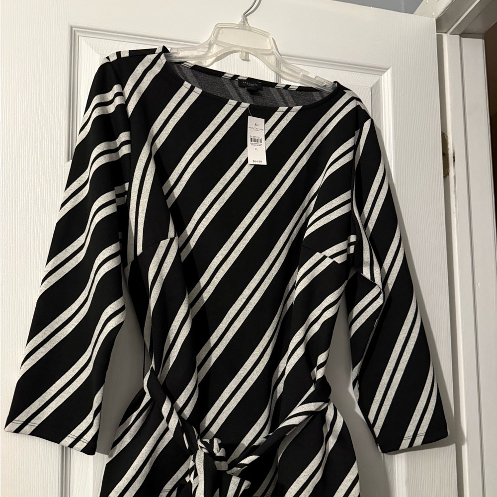 Anne Taylor Black and White Striped Blouse